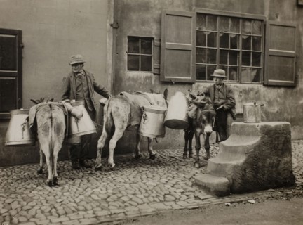 Milk Donkeys, c. 1890, Frank Meadow Sutcliffe, English, 1853–1941, England, Platinum print, 13.2 ×