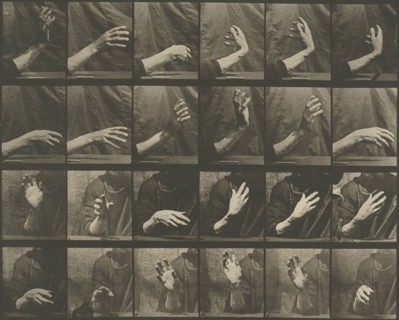 Animal Locomotion, Plate 535, 1887, Eadweard Muybridge, English, active United States, 1830–1904,