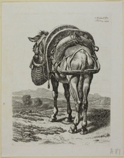 Feeding Mule, Rear, from Die Zweite Thierfolge, 1800, Johann Christian Reinhart, German, 1761-1847,