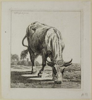 Cow Drinking, from Die Zweite Thierfolge, 1800, Johann Christian Reinhart, German, 1761-1847,