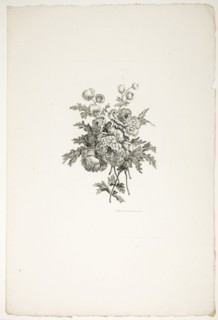 Bouquet with Peonies, from Collection of Different Bouquets of Flowers, Invented and Drawn by Jean