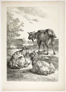 Plate Eighteen of 38 from Oeuvres de J. B. Huet, 1796–99, Jean Baptiste Huet, French, 1745-1811,
