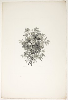 Bouquet with Poppies, from Collection of Different Bouquets of Flowers, Invented and Drawn by Jean