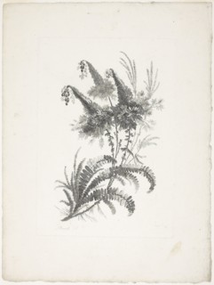 Bouquet, from Collection of New Flowers of Taste for the Manufacture of Persian Cloth, Invented and