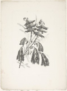 Bouquet, from Collection of New Flowers of Taste for the Manufacture of Persian Cloth, Invented and