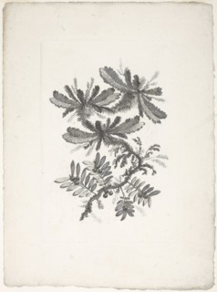 Bouquet, from Collection of New Flowers of Taste for the Manufacture of Persian Cloth, Invented and