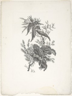 Bouquet, from Collection of New Flowers of Taste for the Manufacture of Persian Cloth, Invented and