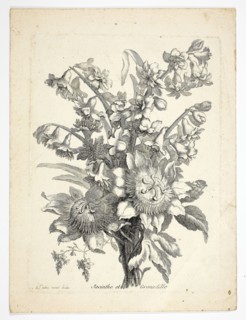 Hyacinthe and Passion Fruit Flower, plate two from Mes Petits Bouquets, n.d., Charles Germain de