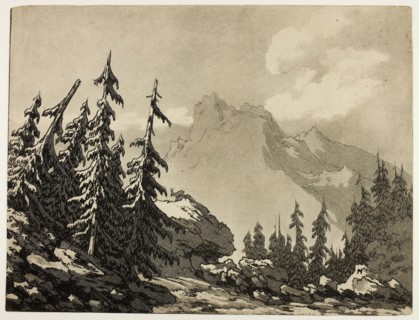 Pine Trees in the Mountains, 1789, John Robert Cozens, English, 1752-1799, England, Aquatint and