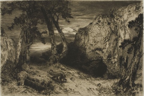 The Coyote, Arizona, 1880, Thomas Moran, American, born England, 1837-1926, United States, Etching,