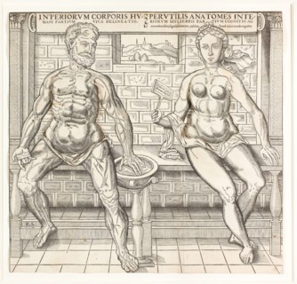 Interiorum corporis humani partium viva delineatio, from the second edition of the Compendiosa