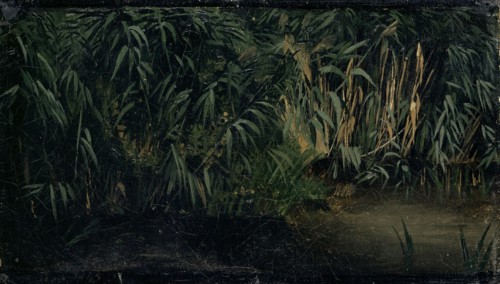 Reed, 1845, oil on canvas, mounted on cardboard, 14.8 x 26 cm, monogrammed and dated lower left: A.