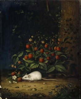 Strawberries with Mouse, 19th C.?, Oil on canvas, 27.5 x 22.5 cm, unspecified, Maria Sibylla