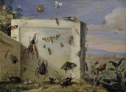 Insects on a stone slab, oil on copper, 17.5 x 23.5 cm, unsigned, Jan van Kessel d. Ä., Antwerpen