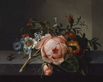 Still Life with Rose Branch, Beetle and Bee, 1741, oil on canvas, mounted on oak, 20 x 24.5 cm,