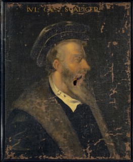 Portrait of Julius Caesar Scaliger, oil on canvas, 79 x 64 cm, not specified., Top: IVL [IUS] •
