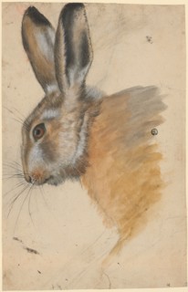 Hasenkopf, Black pencil, watercolored, Leaf: 32.2, 33 x 21 cm, Not specified, Hans Hug Kluber,