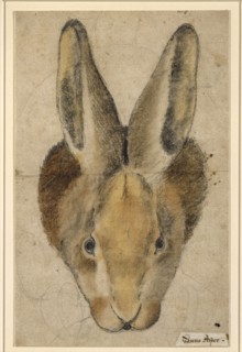 Rabbit from the front, pen in black, black and colored chalks, drawn by pencil, mounted, sheet: 22