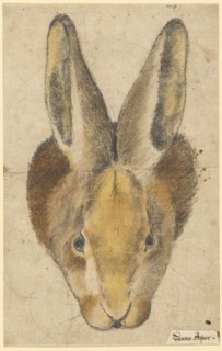 Rabbit from the front, pen in black, black and colored chalks, drawn by pencil, mounted, sheet: 22
