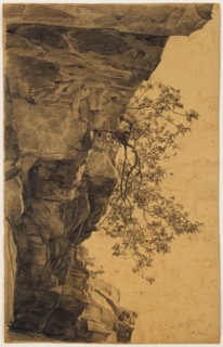 Overhanging rock with pear, 28 Sept. 1852, pencil on ocher-brown paper, sheet: 47.4 x 30 cm, U. r.,