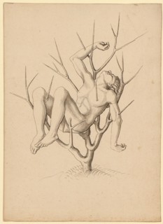 Martyr, impaled in thorn bush, feather in black, gray wash, sheet: 21.5 x 15.4 cm, unsigned, Jörg