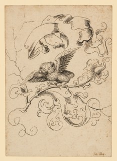 Young owl on flower branch, above a blank banner, c. 1500, pen in black, Journal: 15.2 x 10.7 cm,