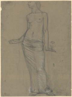 Frontal, female half act, pencil, heightened with white on gray paper, page: 39.6 x 20.3 cm, on the