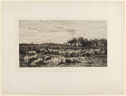 Le grand parc a moutons, le matin, (1860/62), etching, III, IV, sheet: 36.2 x 48 cm |, Plate: 21.9