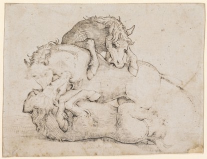 Three Fighting Wild Horses, Feather in Black, Copyspace, Sheet: 13.4 x 17.5 cm, Unsigned, Hans