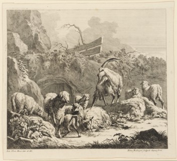 Goats, sheep and lambs, 1724-1728, etching, sheet: 28.2 x 31.1 cm |, Plate: 26.4 x 31.5 cm, In the