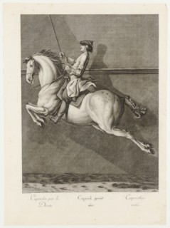 Capriole straight, 1734, etching, sheet: 59.8 x 43.8 cm |, Plate: 54.5 x 39.8 cm, U.l., below the