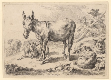 Donkey, 1679-1680, etching, sheet: 12.8 x 17.7 cm |, Plate: 12.1 x 17.2 cm, M. u., inscribed in the