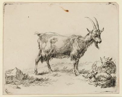 Two boys goat, etching, sheet: 10.4 x 13.2 cm |, Plate: 10.1 x 12.9 cm, Not specified, Nicolaes