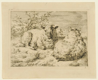 Two lying sheep, etching, sheet: 9.1 x 11.3 cm |, Plate: 7.3 x 9.9 cm, in the plate l., M. and.,