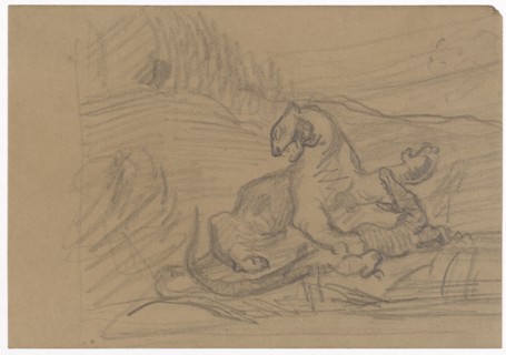Wild Animal and Crocodile, 1866/69, pencil on brown paper, sheet: 12.5 x 17.9 cm, unmarked, Paul