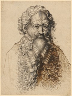 Half-length portrait of a bearded man, pen in black and dark brown, in places heightened with