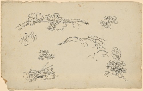 Character template: Six branch and foliage studies., Bottom left hearth with layered wood, feather,
