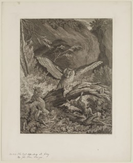 Johann Elias Ridinger, German, 1698-1769, Owl Defending Its Prey, 18th century, etching printed in