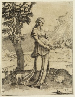 Agustino Veneziano, Italian, 1490-1536, Cumean Sibyl, 1516, engraving printed in black ink, Sheet