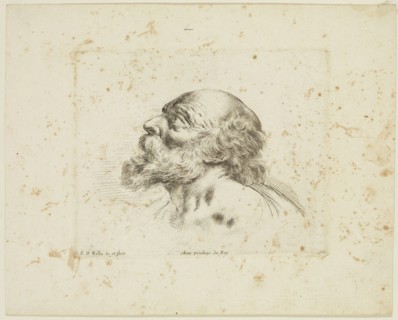 Stefano della Bella, Italian, 1610-1664, Head of an Old Man, ca. 1641, etching printed in black ink