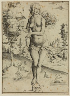 Master M. Z., German, Meditation on Death, 16th century, engraving printed in black ink on laid