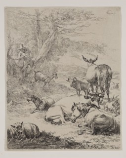 Nicolaes Berchem, Dutch, 1620-1683, Resting Herd, between 1620 and 1683, etching printed in black