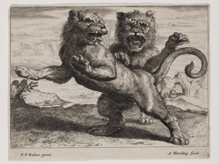 Abraham Blooteling, Dutch, 1640-1690, after Peter Paul Rubens, Flemish, 1577-1640, Lions, Plate 3,
