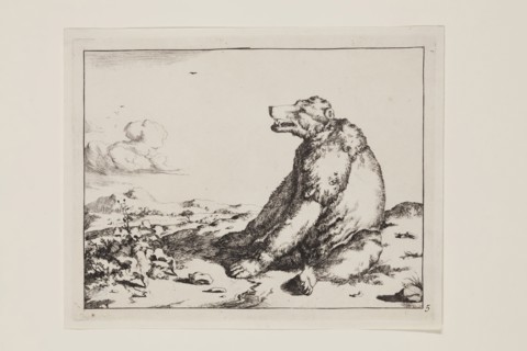Marcus de Bye, Dutch, 1639 - 1690, after Paul Potter, Dutch, 1625 - 1654, Seated Bear Facing Left,