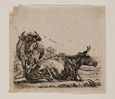 Aelbert Cuyp, Dutch, 1620-1691, Cows, between 1620 and 1691, etching printed in black ink on laid
