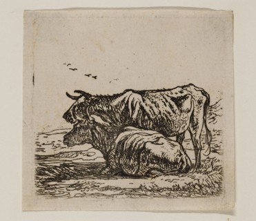Aelbert Cuyp, Dutch, 1620-1691, Cows, between 1620 and 1691, etching printed in black ink on laid