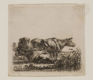 Aelbert Cuyp, Dutch, 1620-1691, Cows, between 1620 and 1691, etching printed in black ink on laid
