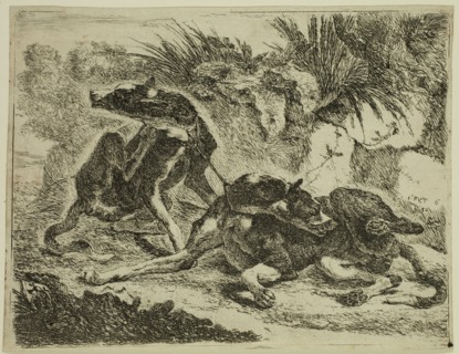 Jan Fyt, Flemish, 1611-1661, Two Greyhounds, 1642, etching printed in black ink on laid paper,