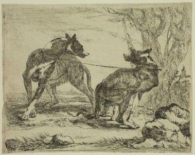 Jan Fyt, Flemish, 1611-1661, Two Greyhounds, 1642, etching printed in black ink on laid paper,
