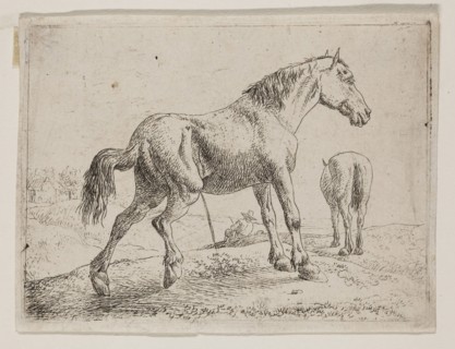 Jan van Aken, Dutch, 1614-1661, Pissing Horse, 17th century, etching printed in black ink on laid